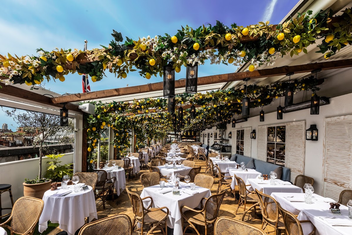 Alto By San Carlo - London